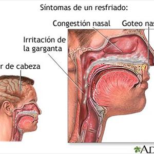 Shrink Swollen Nasal Passages 